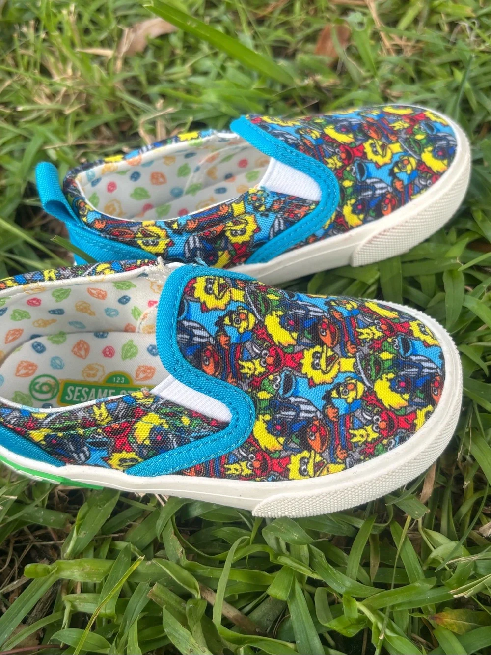 Kids Slip-On Canvas Shoes with Colorful Character Print - Blue Trim Sesame  6